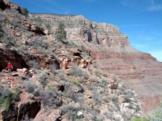 IMG_20130314_112052.jpg